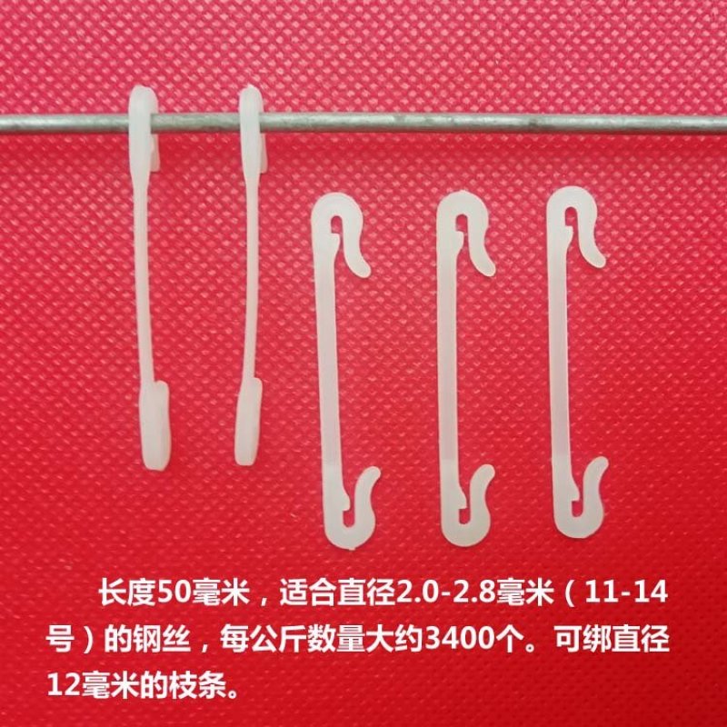 自色五厘米绑枝卡