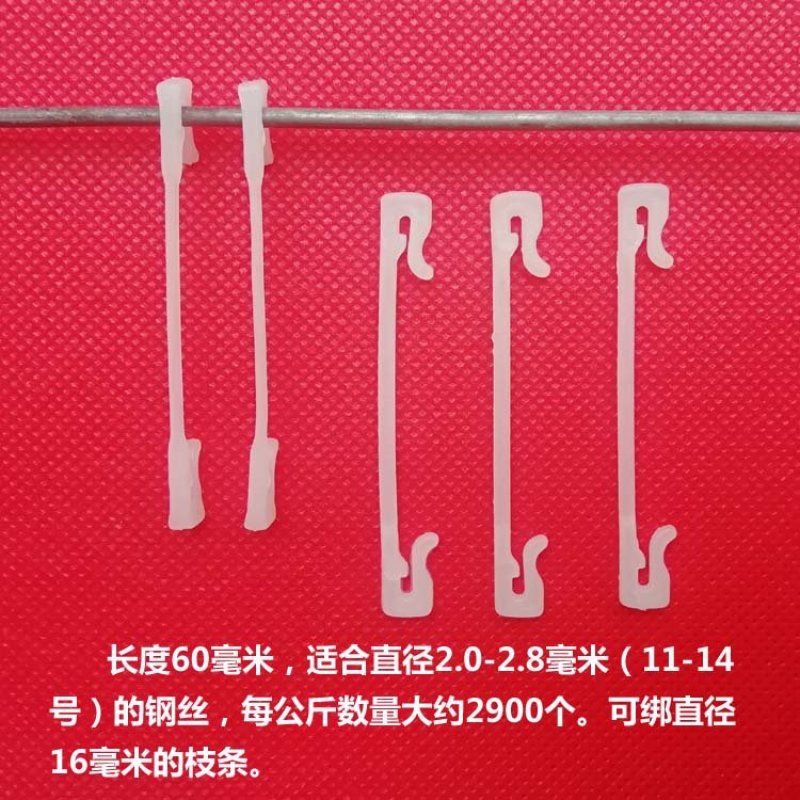 自色五厘米绑枝卡