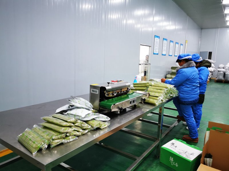 盐亭特产七里花乡桑椹系列礼盒春节送礼佳品
