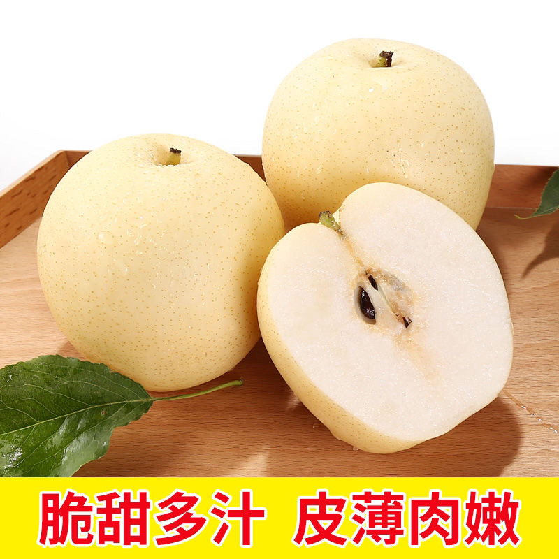陕西蒲城皇冠梨，黄冠梨，口感脆甜。大量供应
