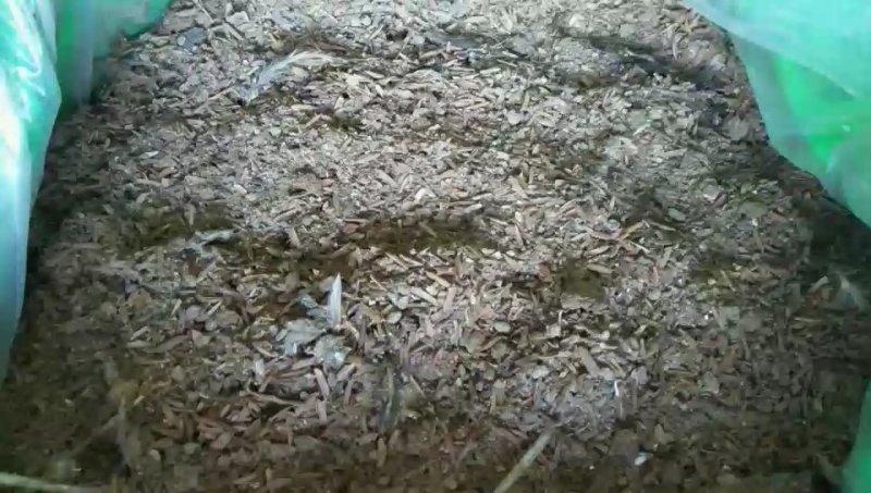 优质鸡粪有机肥蔬菜果木花卉用肥产地直供大量现货