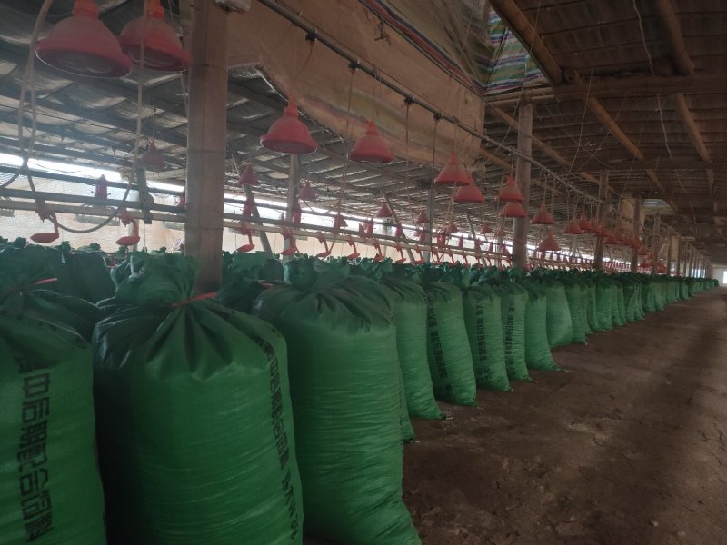 优质鸡粪有机肥蔬菜果木花卉用肥产地直供大量现货