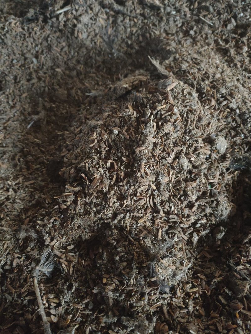 优质鸡粪有机肥蔬菜果木花卉用肥产地直供大量现货