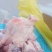 鸭边腿，鸭翅根二节翅鸭肉