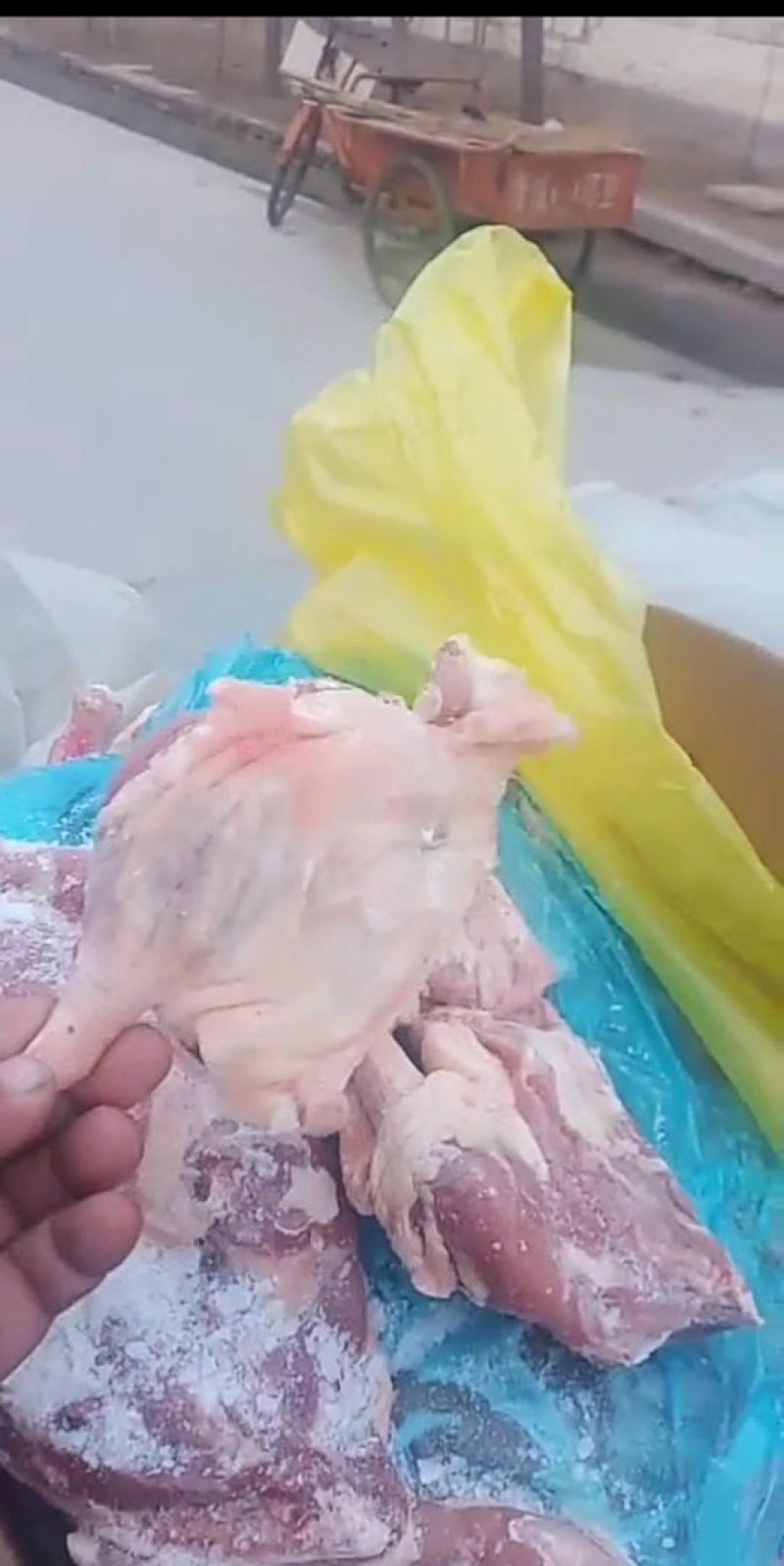 鸡腿鸭腿鸭翅鸭肉