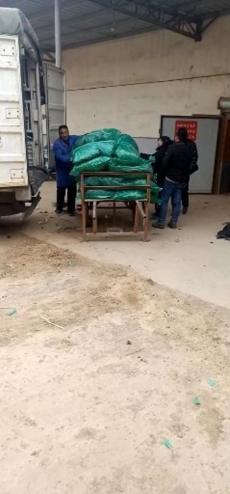 聊城冷库香菜，