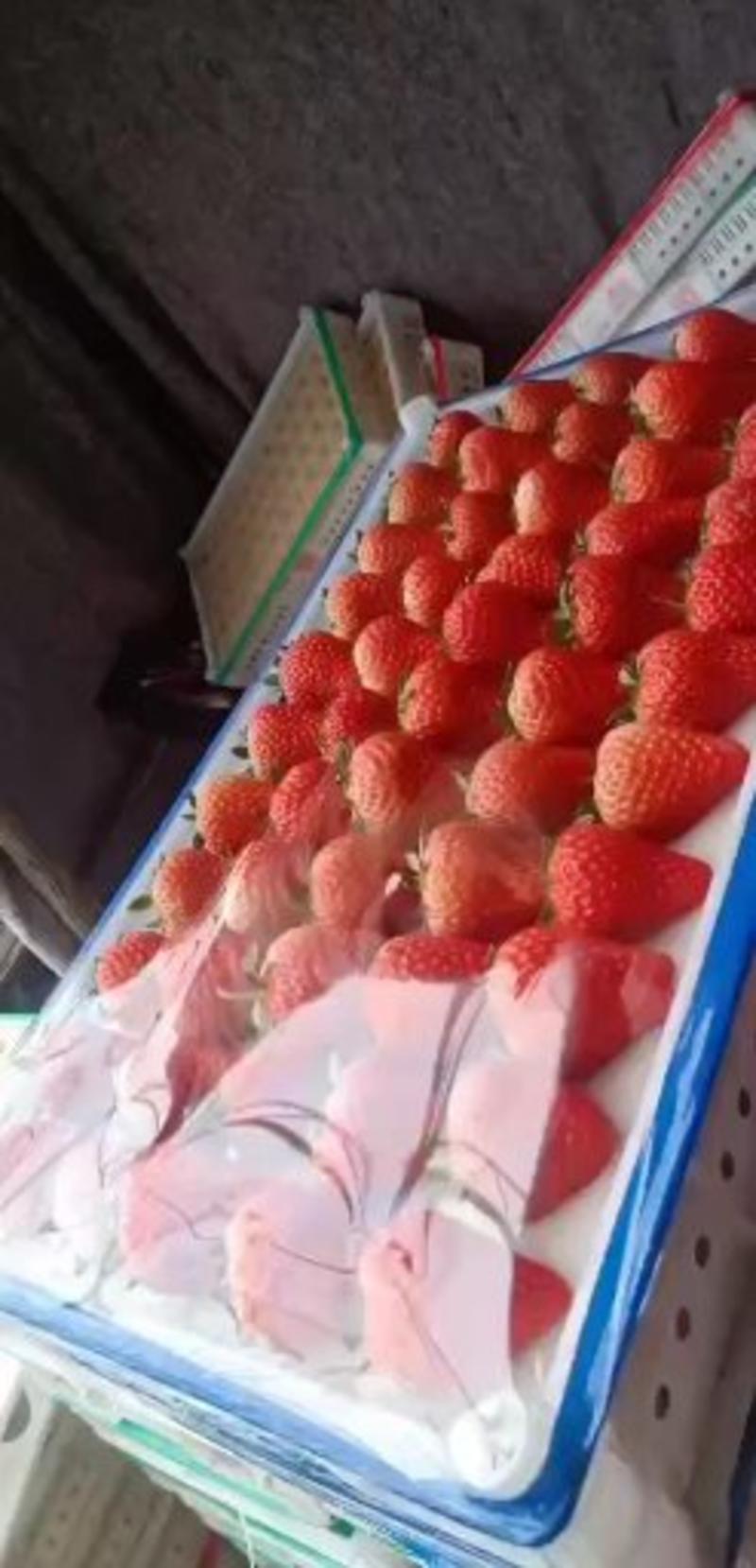 丹东九九奶油草莓