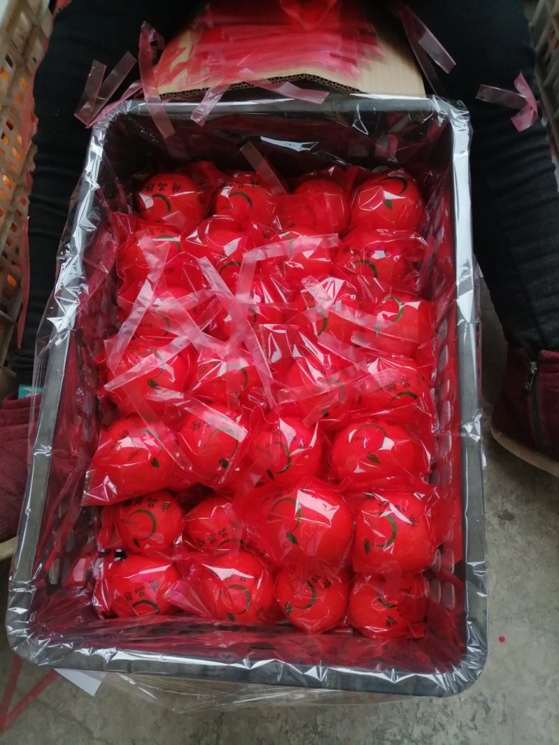 玫瑰血橙，脐血橙