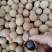 漳浦特产，送礼首选。龙眼干，土龙眼水南1号，水南二号