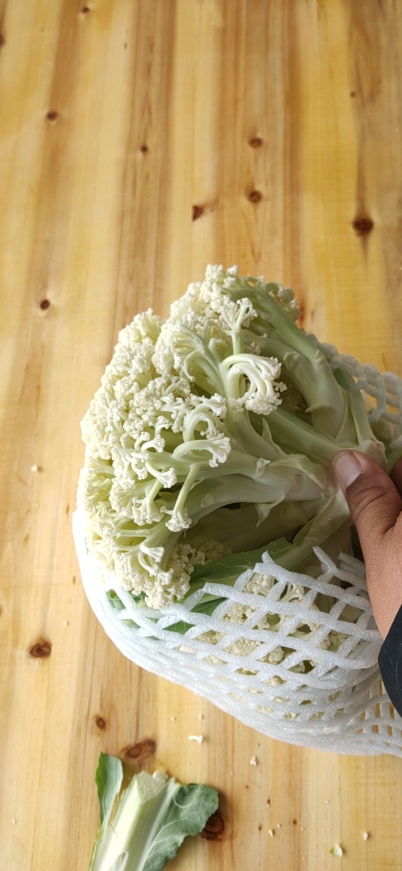松花白面青梗，白菜花，基地直供，专业诚信代办！