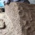 冠县白玉山药基地，毛山药。绿叶大双棒。全国发货。质量有保