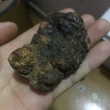 鸡宝