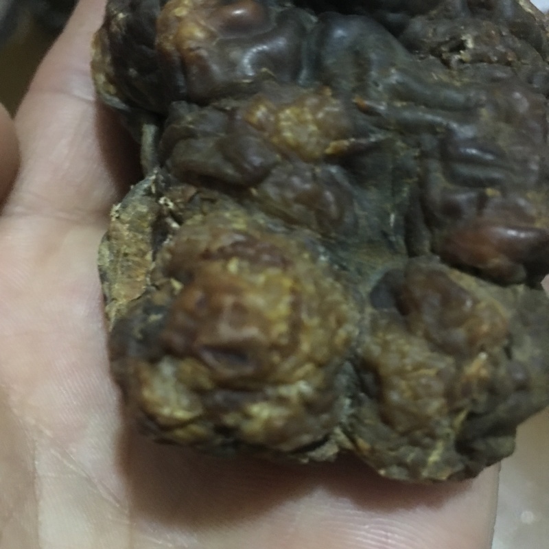 鸡宝