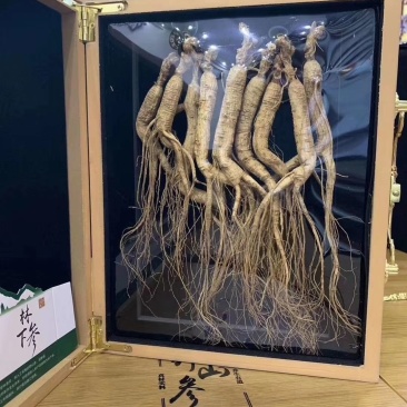 人参，山参，参酒礼盒装