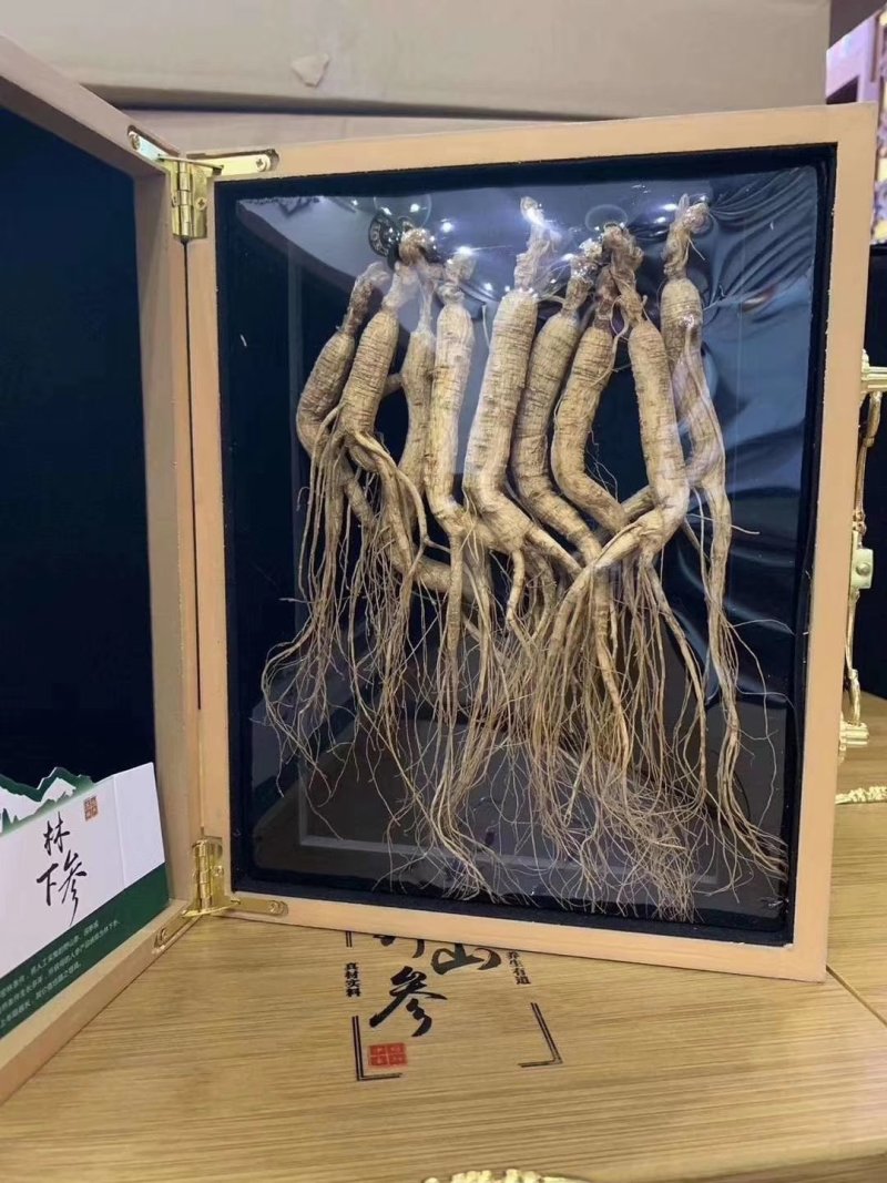 人参，山参，参酒礼盒装