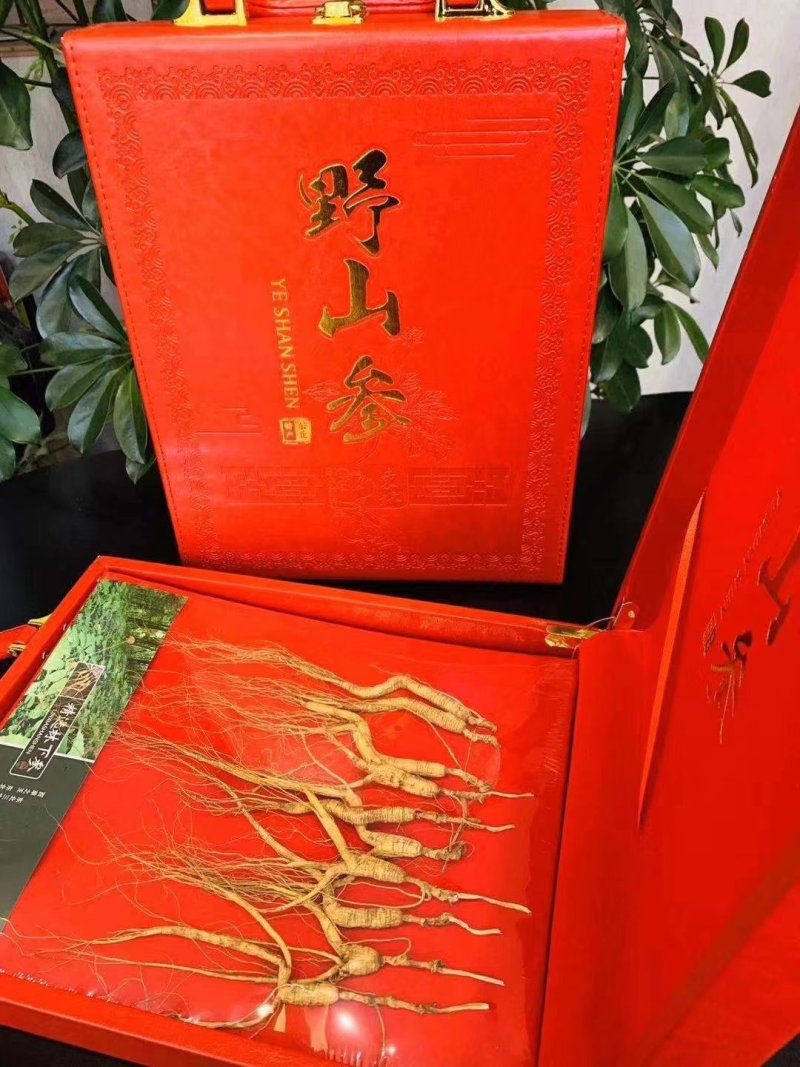 人参，山参，参酒礼盒装