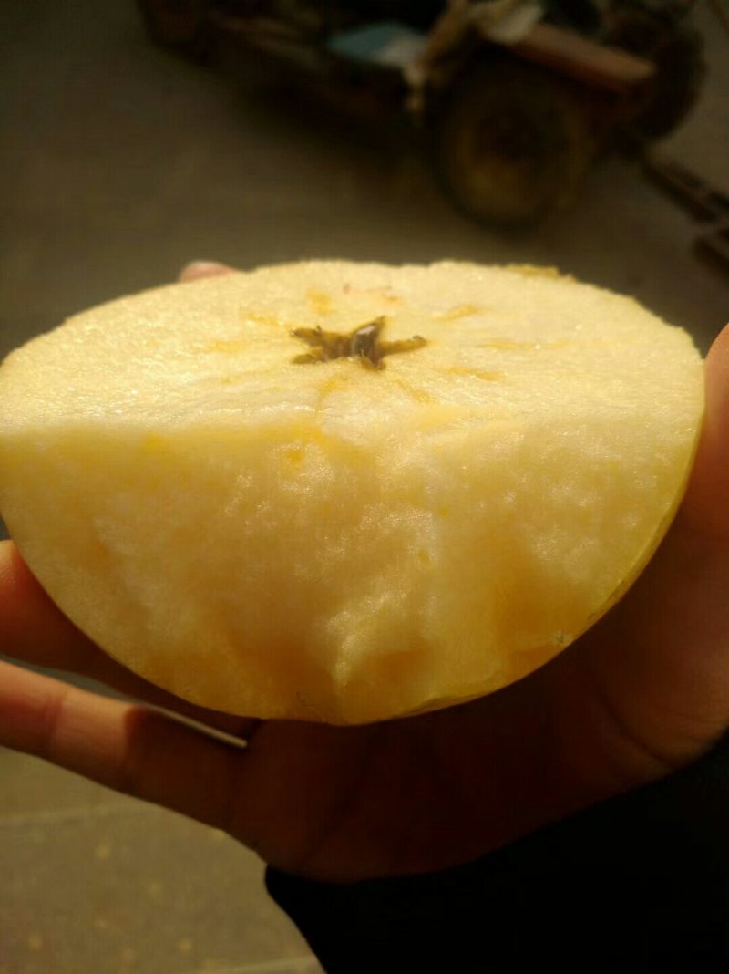 精品纸加膜长枝红富士苹果，自家苹果好吃脆甜。