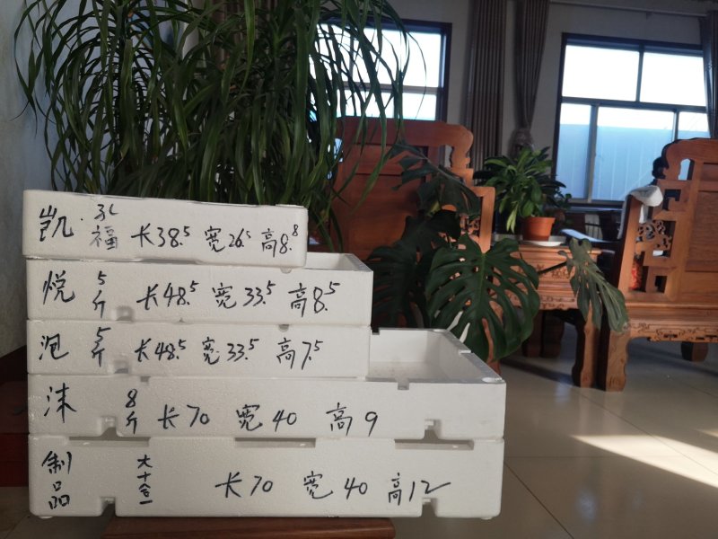 泡沫箱