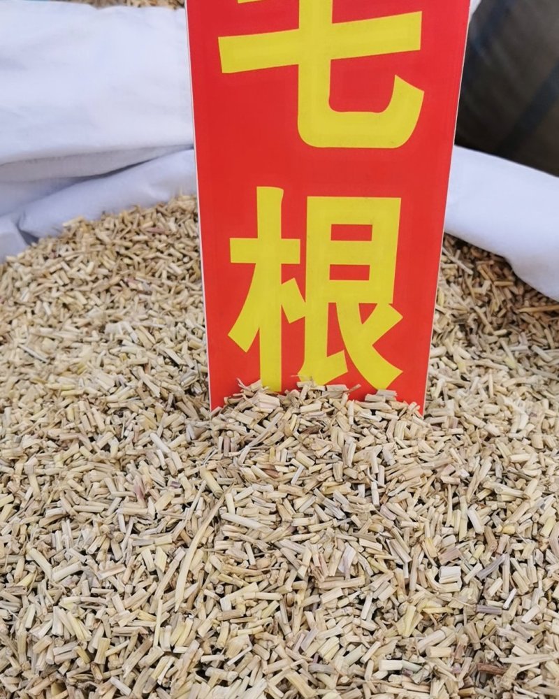 中药材野生白茅根新鲜白茅根茶白茅根杆