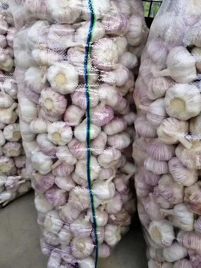 金乡大蒜太空蒜蒜米料代收储存长年供应国内市场电加工出口