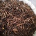 钩藤双钩各种规格2斤起包邮量大从优