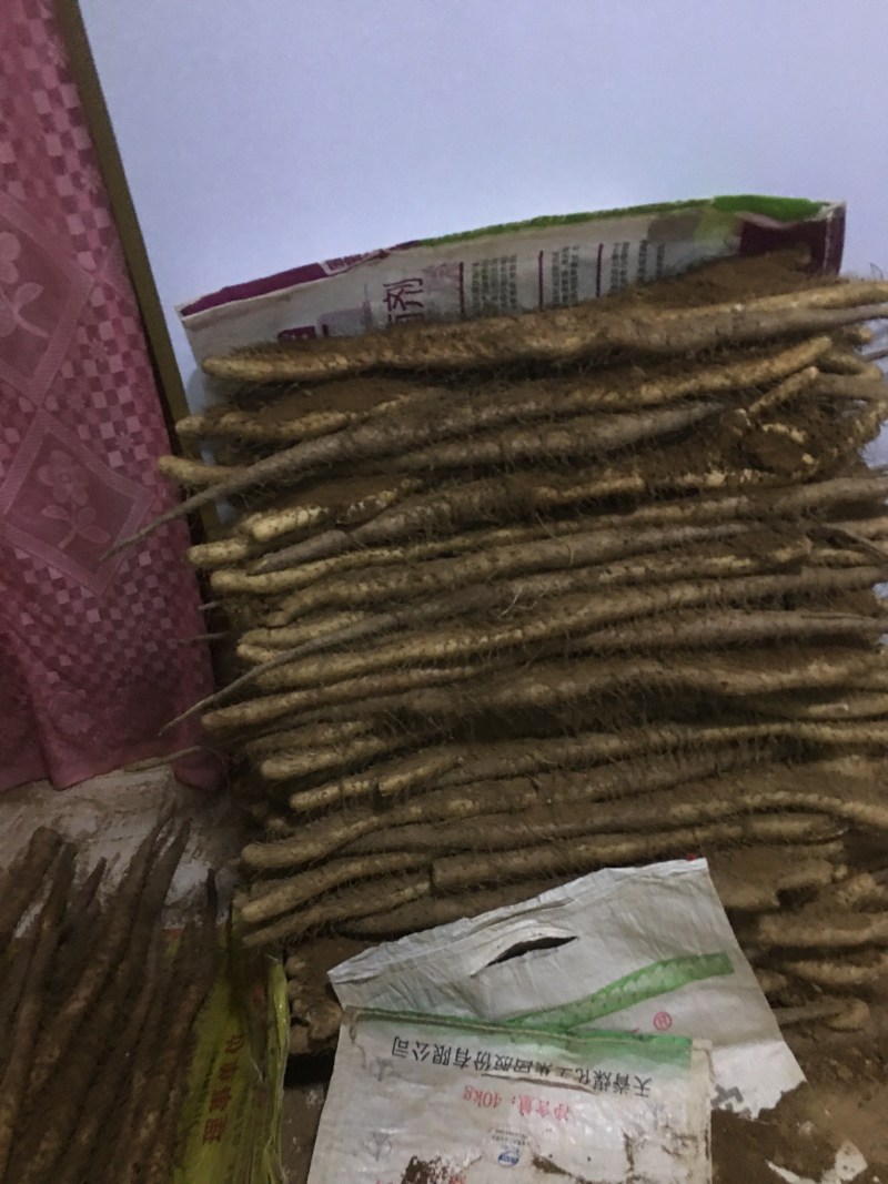 白玉山药佛手