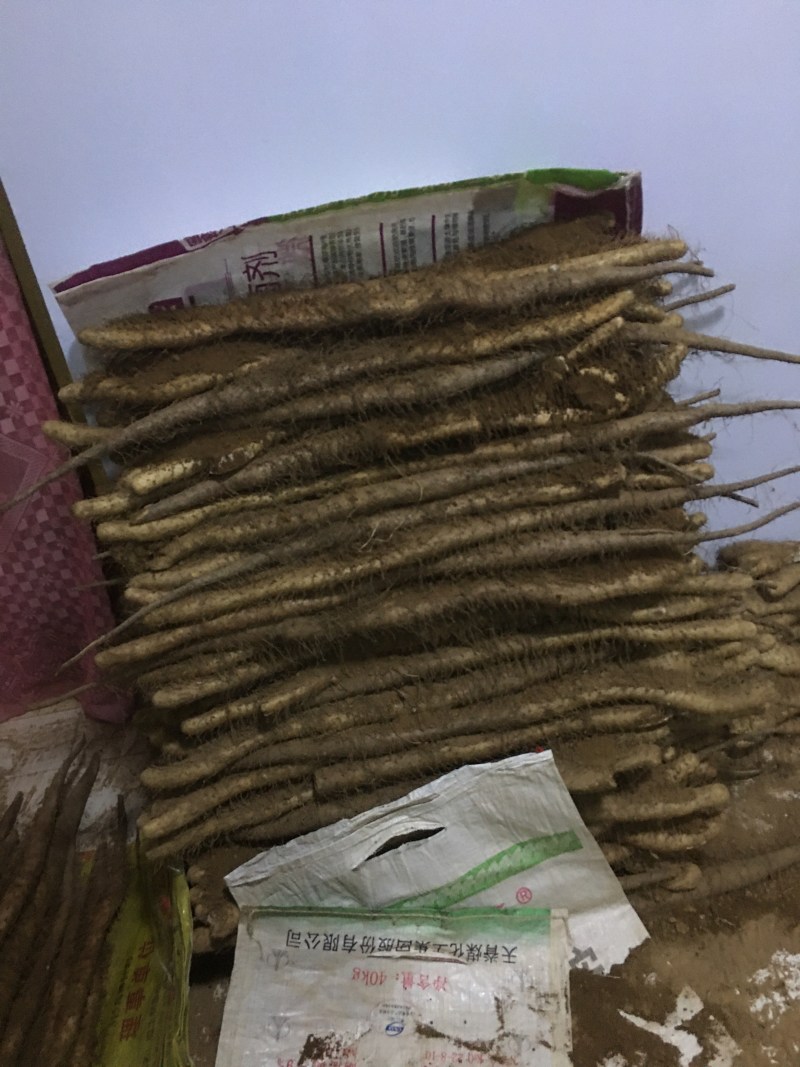 白玉山药佛手