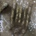 白玉山药佛手