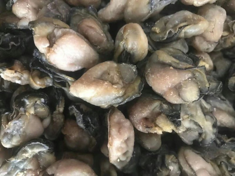 生蚝干海鲜干货牡蛎干海蛎子干不抽油蚝豉干