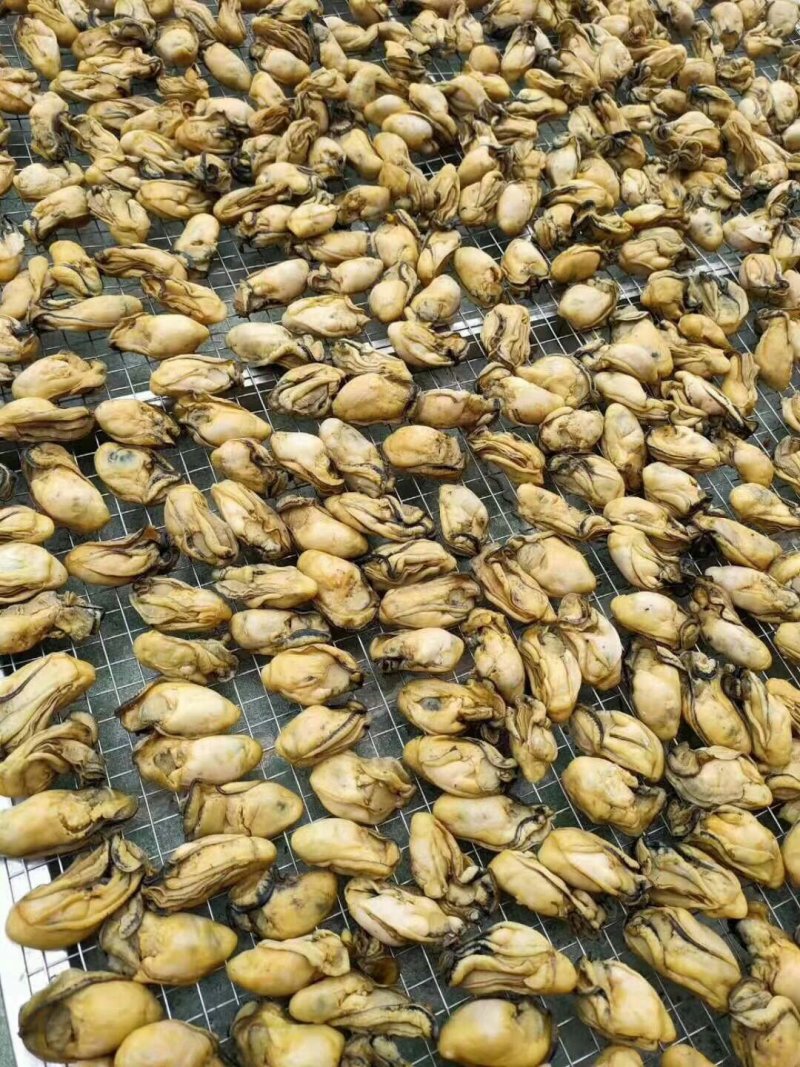 生蚝干海鲜干货牡蛎干海蛎子干不抽油蚝豉干