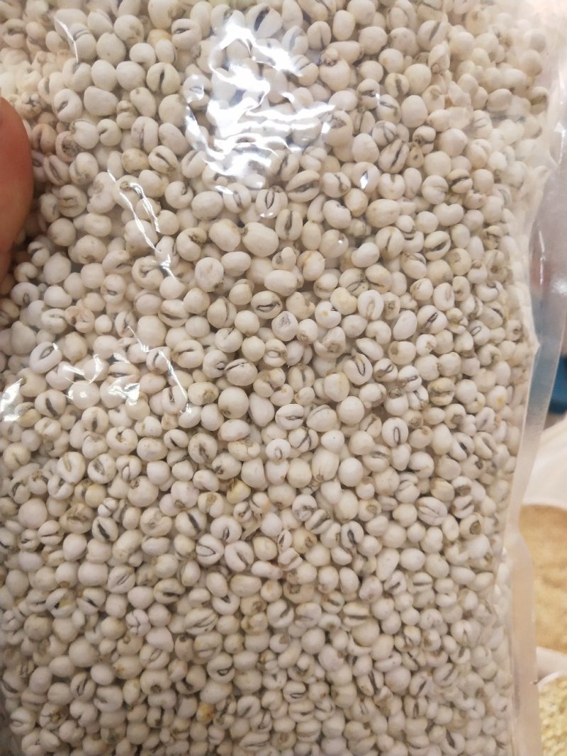 贝母贝母包邮小贝母干净无杂质全国包邮农副产品