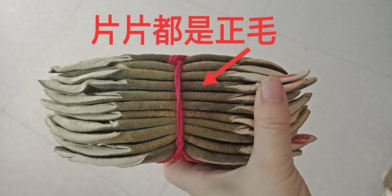 化橘红七爪化州人工种植干货