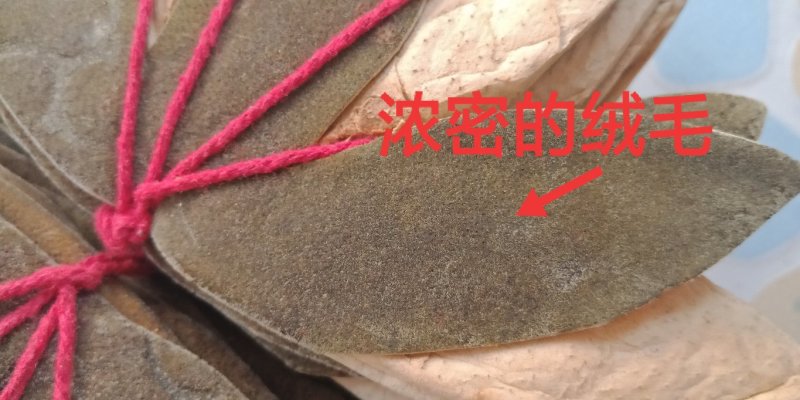 化橘红七爪化州人工种植干货