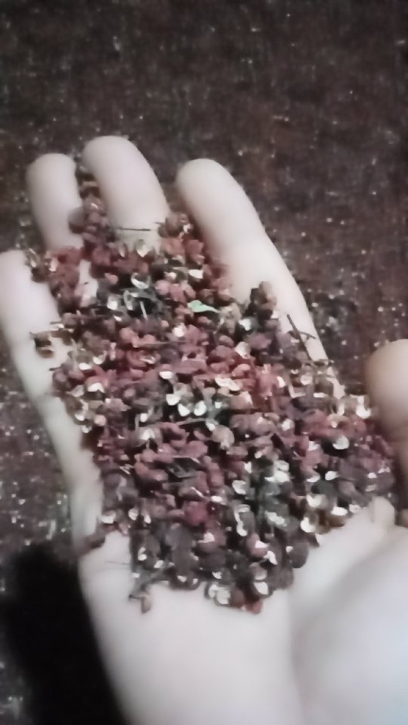 陕西省渭南市澄城县当年花椒出售品质有**保证