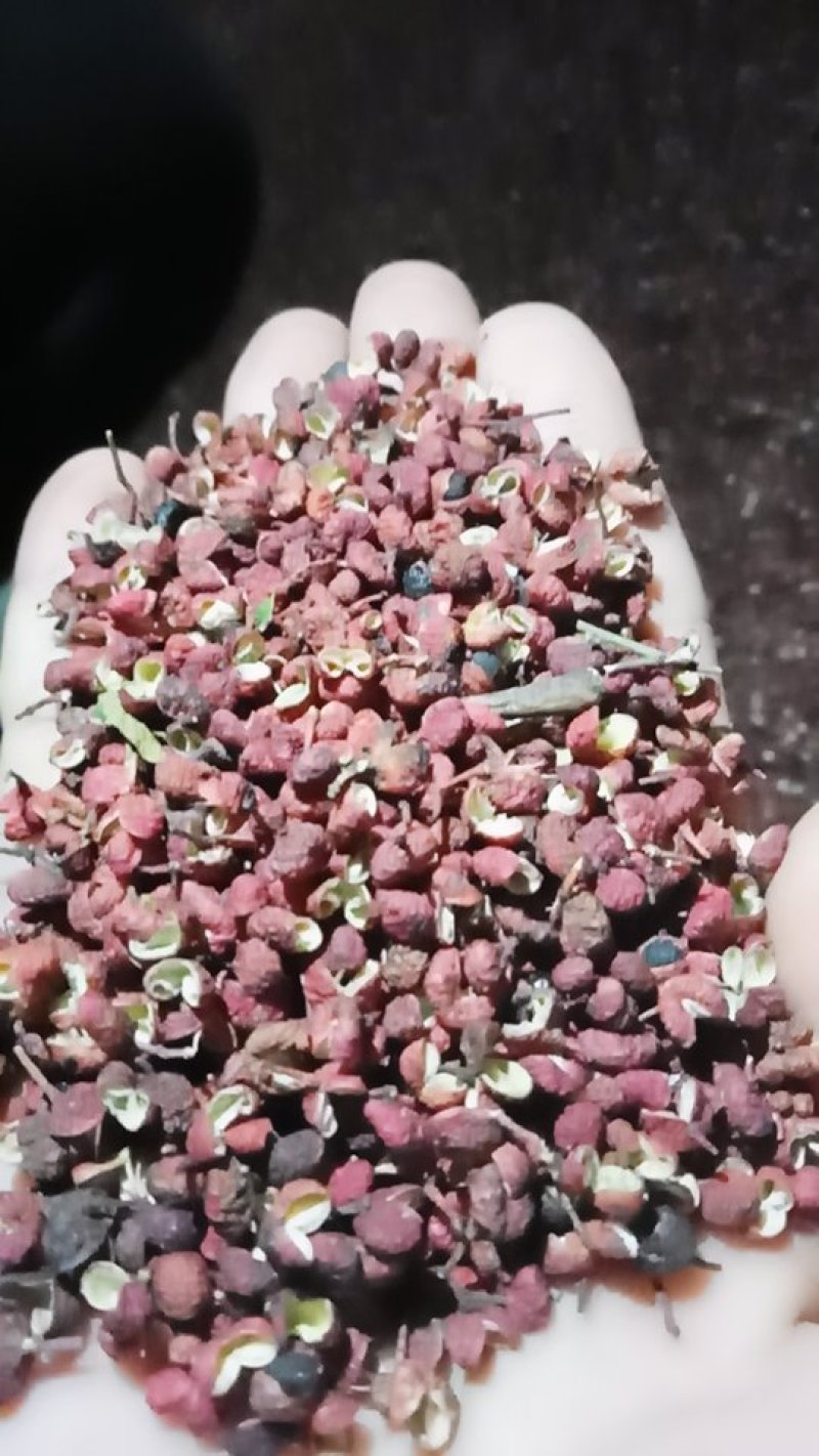 陕西省渭南市澄城县当年花椒出售品质有**保证