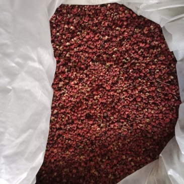 陕西省渭南市澄城县当年花椒出售品质有**保证