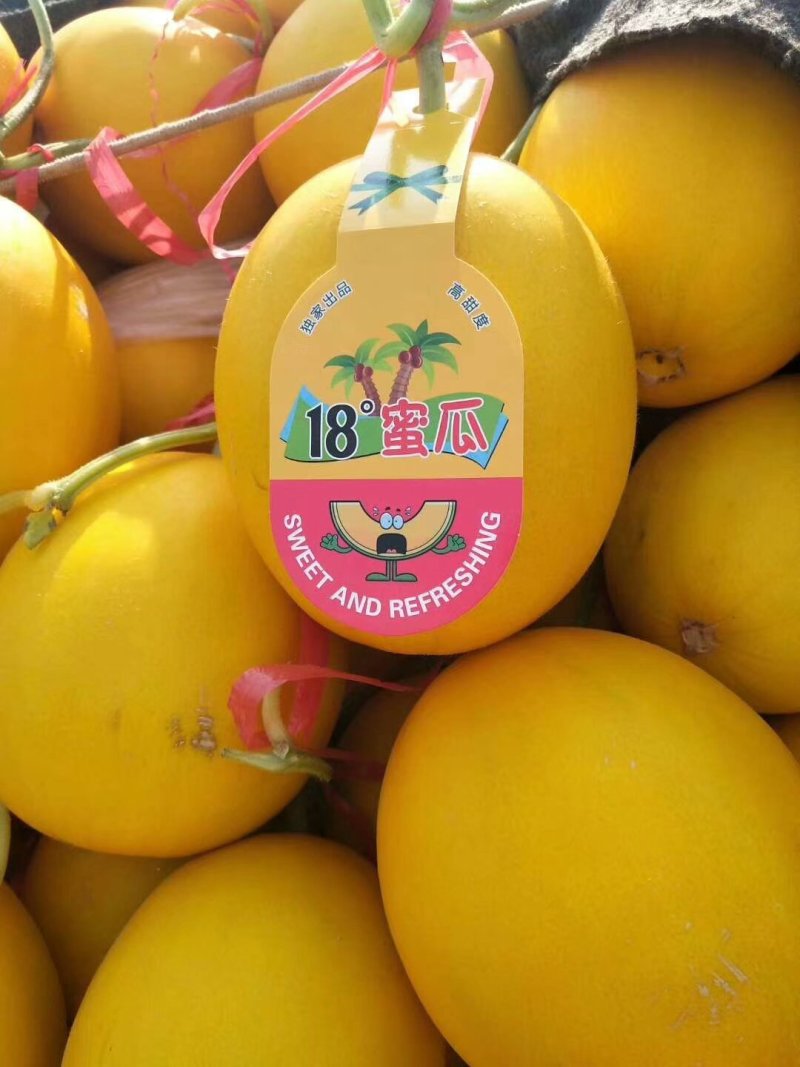 久红瑞甜瓜新鲜供应实力代办社区团购一件代发对接商超