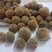 正毛化橘红乳果，产地直销