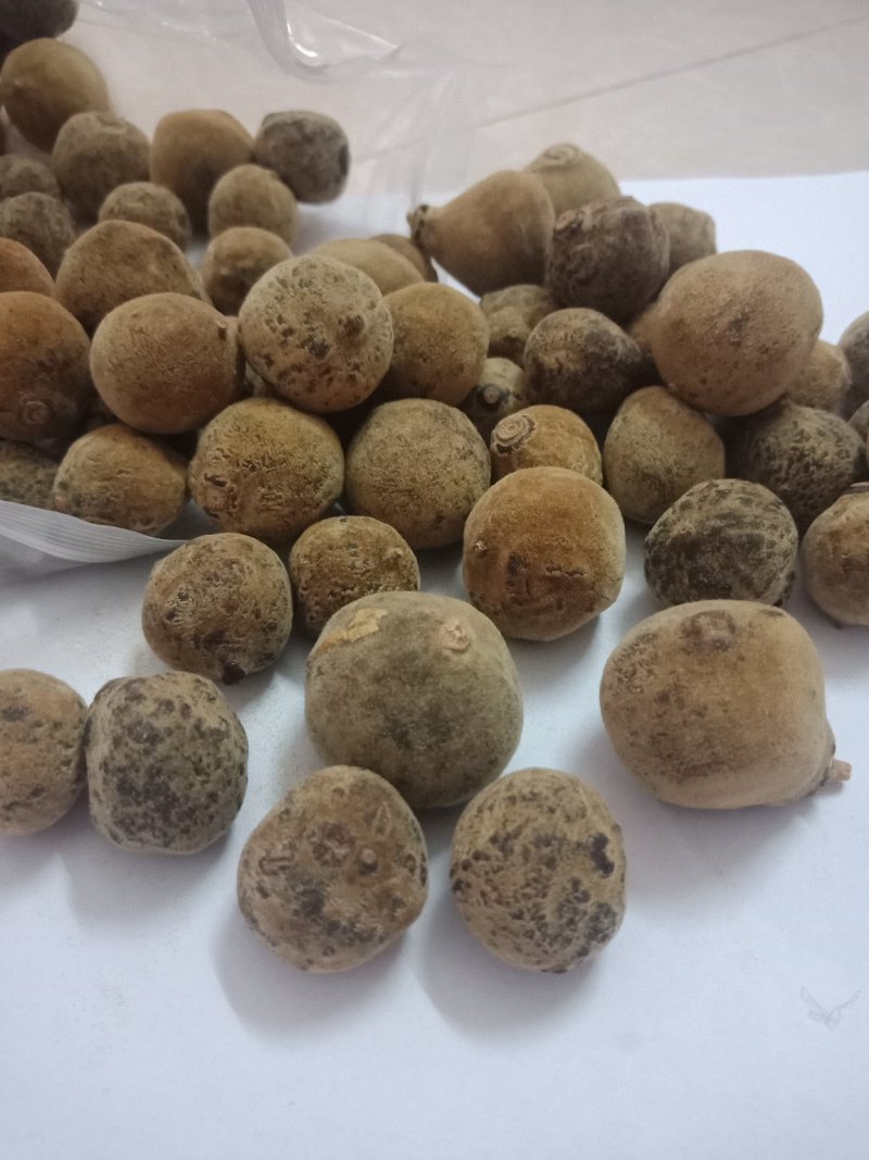 正毛化橘红乳果，产地直销