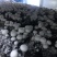口菇双孢菇新鲜口菇无公害食用菌