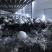 口菇双孢菇新鲜口菇无公害食用菌