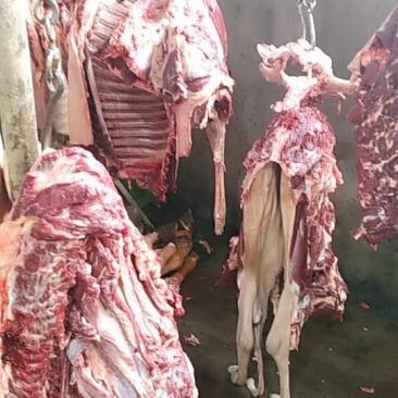 驴肉