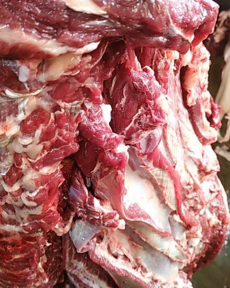 驴肉