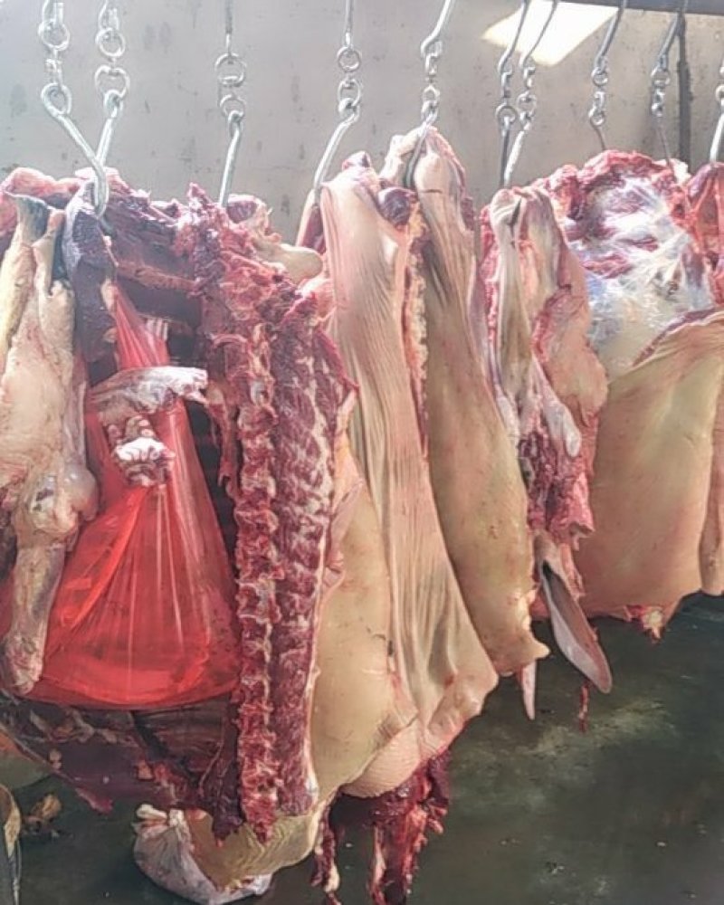 驴肉