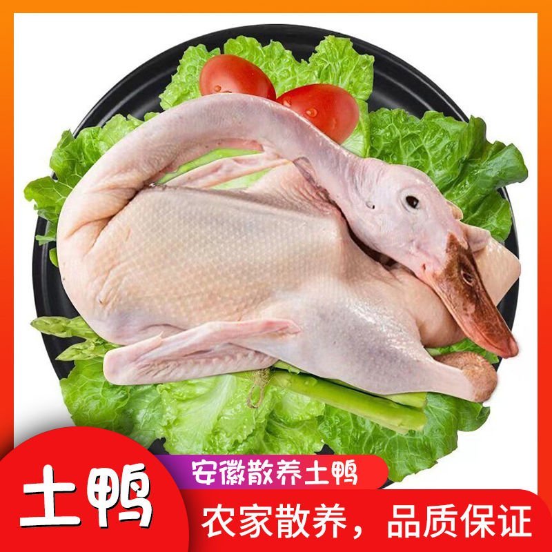 大厂直销麻鸭，白条鸭，全鸭带爪带翅，规格齐全
