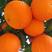 【橙子】秭归脐橙纽荷尔橙果园看货订购物美价廉欢迎来电
