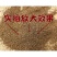 地肤子各种籽类中药材冷背药材一公斤起批