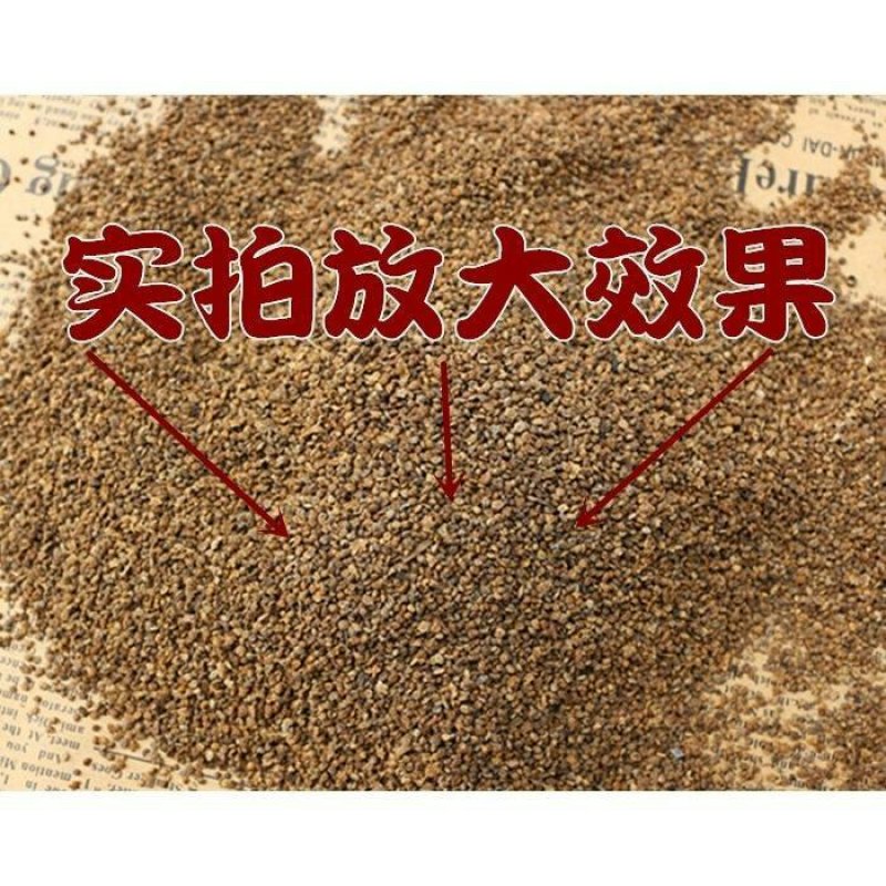 地肤子各种籽类中药材冷背药材一公斤起批