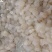 高邮河虾仁（翔实牌免浆河虾仁）