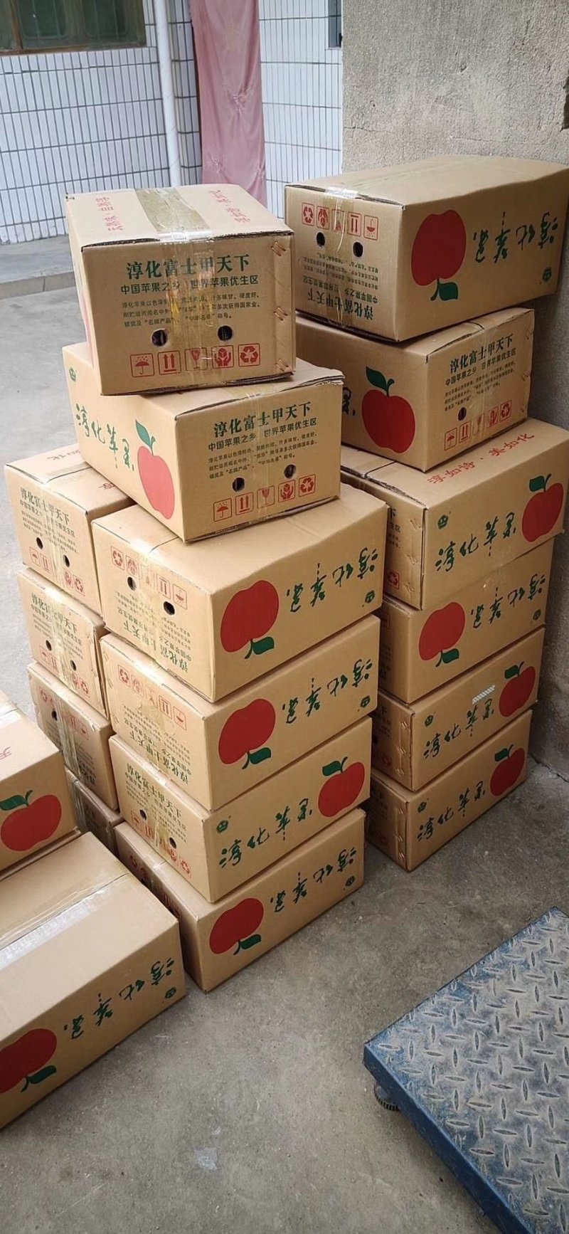 早熟旮旯红将军富士已经开始
